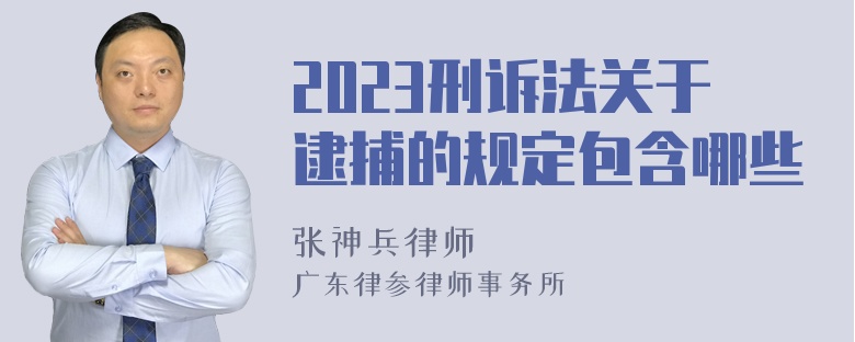 2023刑诉法关于逮捕的规定包含哪些