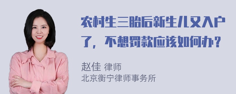 农村生三胎后新生儿又入户了，不想罚款应该如何办？