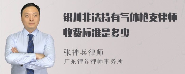 银川非法持有气体枪支律师收费标准是多少