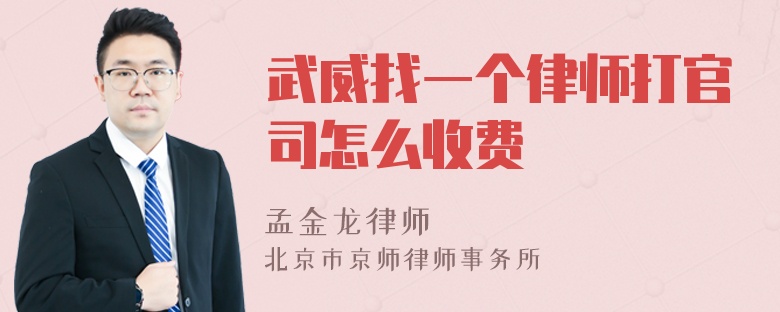 武威找一个律师打官司怎么收费