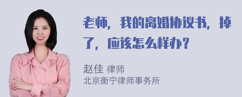 老师，我的离婚协议书，掉了，应该怎么样办？