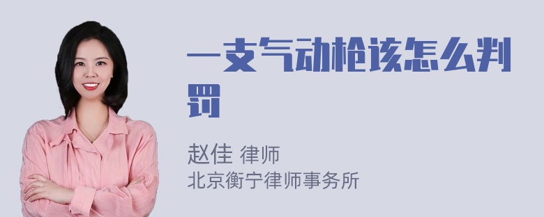 一支气动枪该怎么判罚