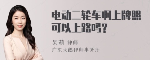 电动二轮车啊上牌照可以上路吗？