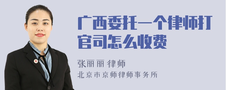 广西委托一个律师打官司怎么收费