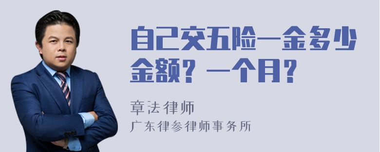 自己交五险一金多少金额？一个月？