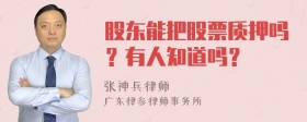 股东能把股票质押吗？有人知道吗？