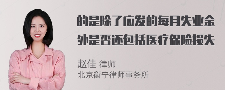 的是除了应发的每月失业金外是否还包括医疗保险损失