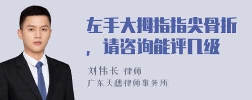 左手大拇指指尖骨折，请咨询能评几级