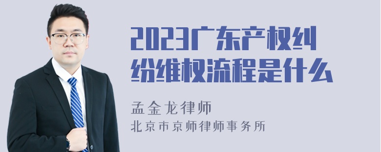 2023广东产权纠纷维权流程是什么