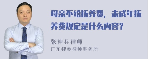 母亲不给抚养费，未成年抚养费规定是什么内容？
