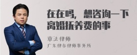 在在吗，想咨询一下离婚抚养费的事