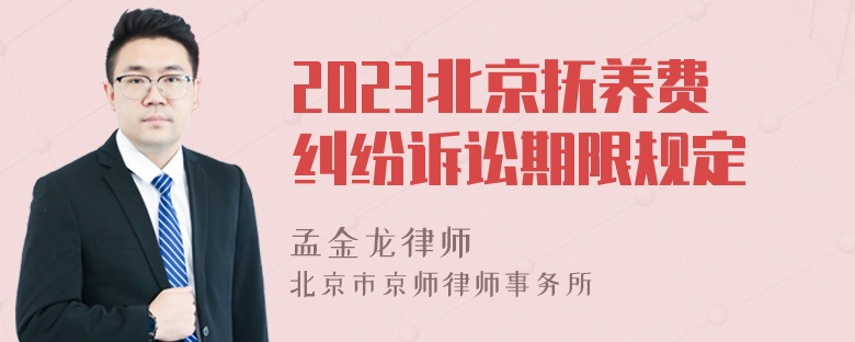 2023北京抚养费纠纷诉讼期限规定