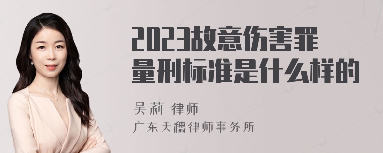 2023故意伤害罪量刑标准是什么样的