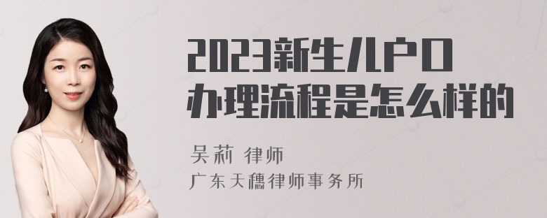 2023新生儿户口办理流程是怎么样的