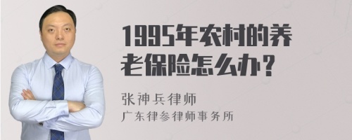 1995年农村的养老保险怎么办？