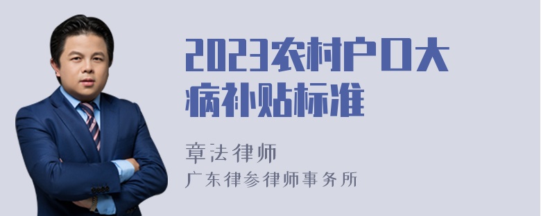 2023农村户口大病补贴标准