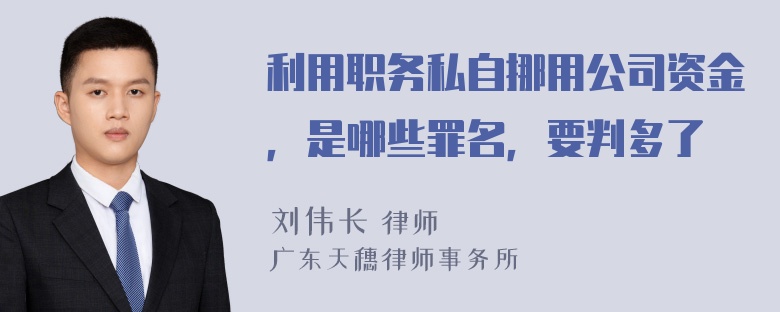 利用职务私自挪用公司资金，是哪些罪名，要判多了