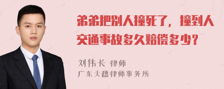 弟弟把别人撞死了，撞到人交通事故多久赔偿多少？