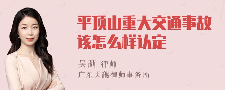 平顶山重大交通事故该怎么样认定