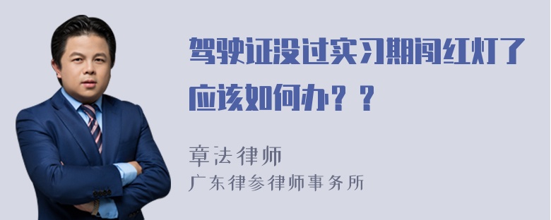 驾驶证没过实习期闯红灯了应该如何办？？