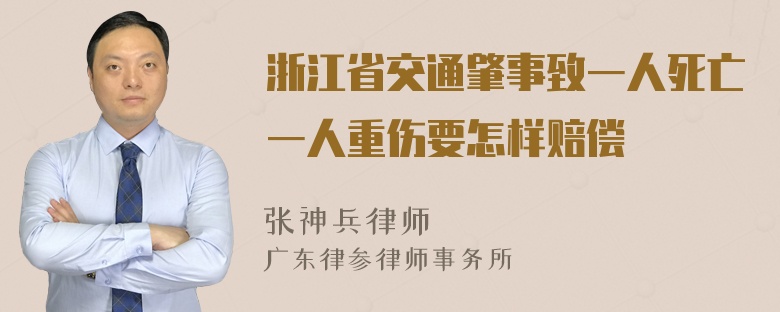 浙江省交通肇事致一人死亡一人重伤要怎样赔偿