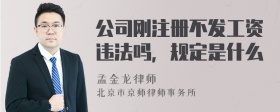 公司刚注册不发工资违法吗，规定是什么