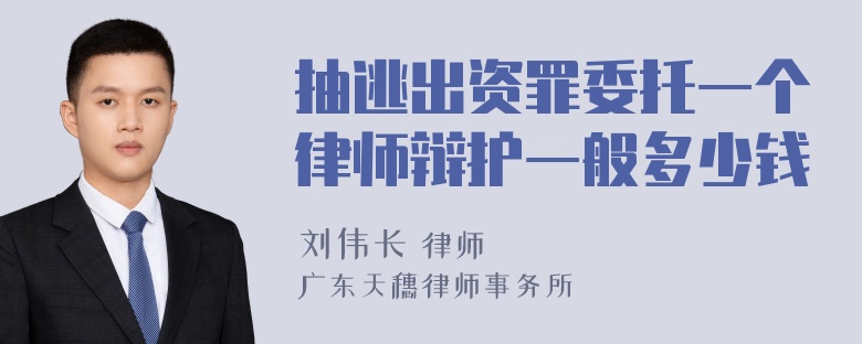 抽逃出资罪委托一个律师辩护一般多少钱