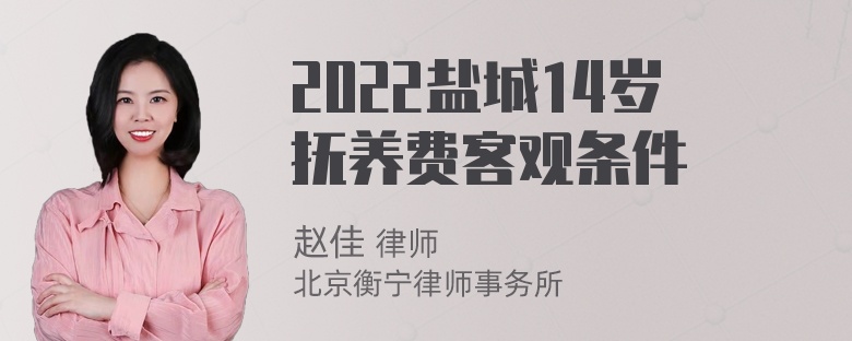 2022盐城14岁抚养费客观条件