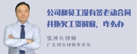 公司和员工没有签老动合同并拖欠工资解雇，咋么办