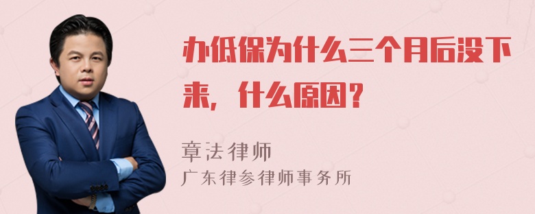 办低保为什么三个月后没下来，什么原因？