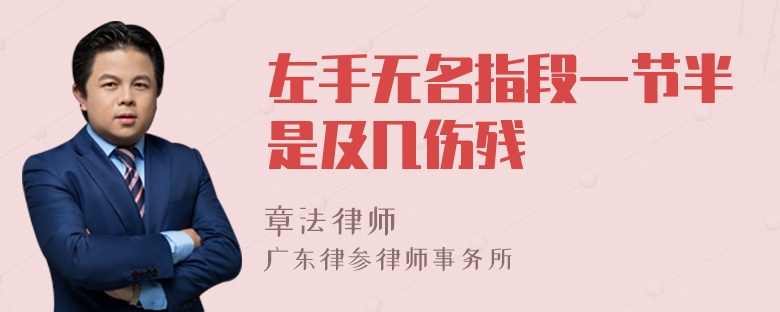 左手无名指段一节半是及几伤残