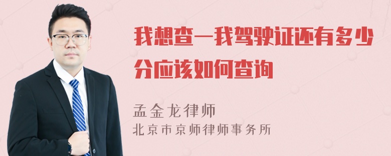 我想查一我驾驶证还有多少分应该如何查询