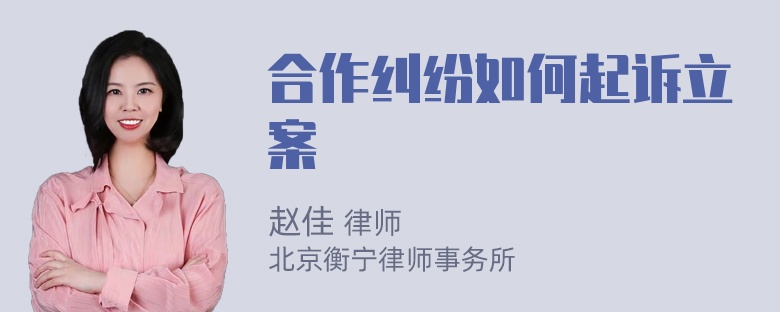 合作纠纷如何起诉立案