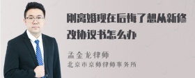 刚离婚现在后悔了想从新修改协议书怎么办