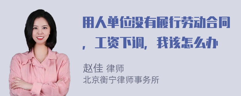 用人单位没有履行劳动合同，工资下调，我该怎么办