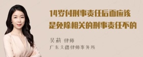 14岁付刑事责任后面应该是免除相关的刑事责任不的