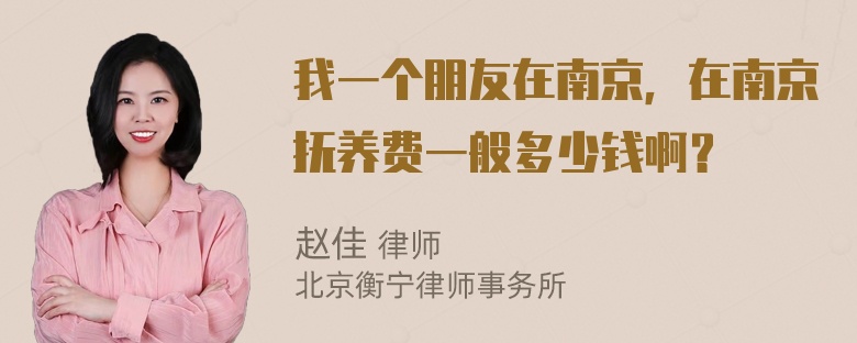 我一个朋友在南京，在南京抚养费一般多少钱啊？