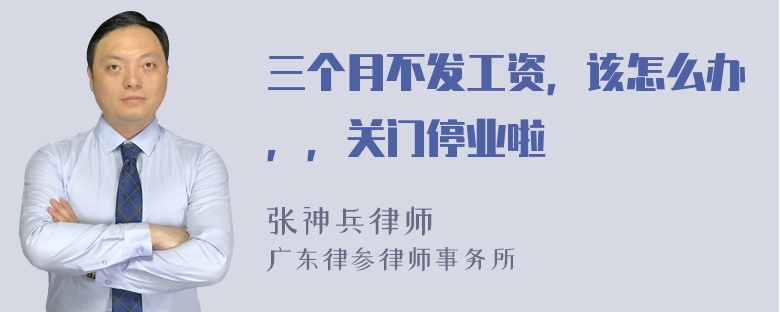 三个月不发工资，该怎么办，，关门停业啦