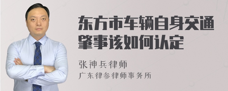 东方市车辆自身交通肇事该如何认定