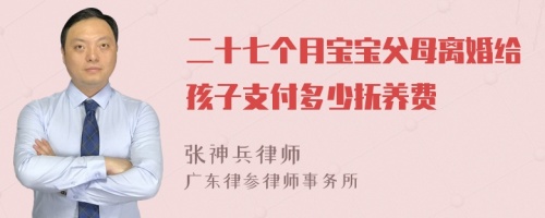 二十七个月宝宝父母离婚给孩子支付多少抚养费