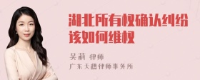 湖北所有权确认纠纷该如何维权