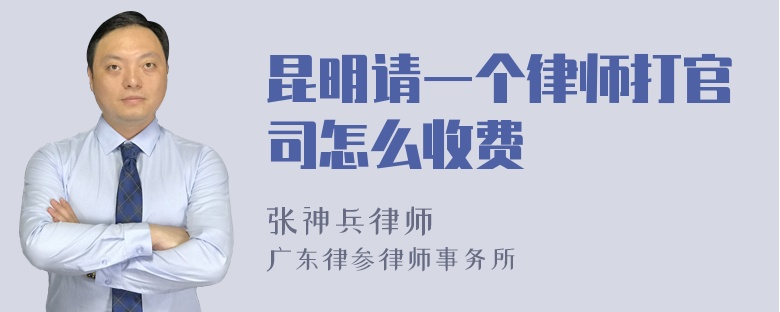 昆明请一个律师打官司怎么收费