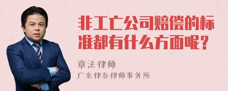 非工亡公司赔偿的标准都有什么方面呢？