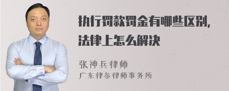 执行罚款罚金有哪些区别，法律上怎么解决