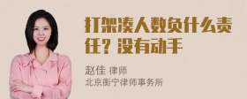 打架凑人数负什么责任？没有动手