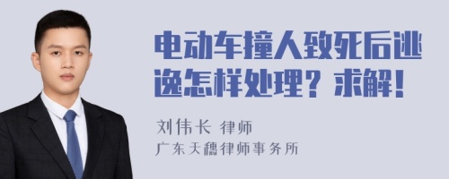 电动车撞人致死后逃逸怎样处理？求解！