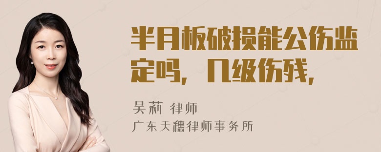 半月板破损能公伤监定吗，几级伤残，