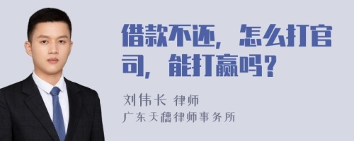 借款不还，怎么打官司，能打赢吗？