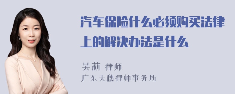 汽车保险什么必须购买法律上的解决办法是什么