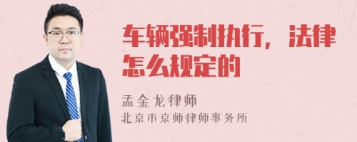 车辆强制执行，法律怎么规定的